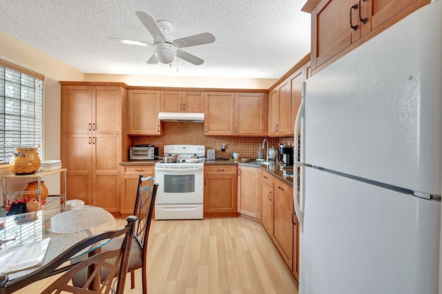 kitchen featuring sink, white appliances, light hardwood / wood-style flooring, ceiling fan, and backsplash