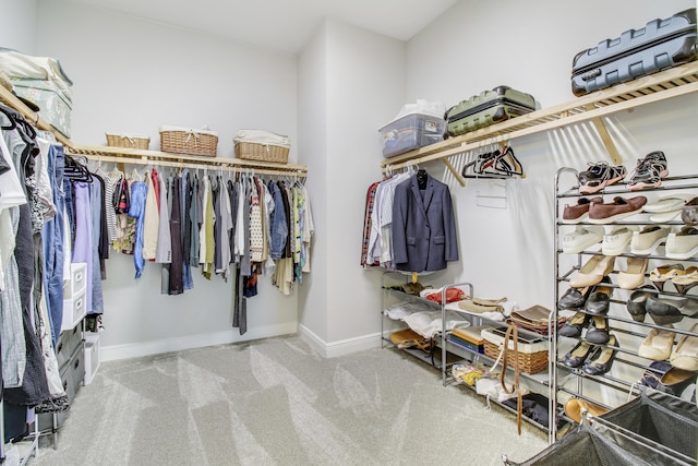 spacious closet featuring carpet flooring