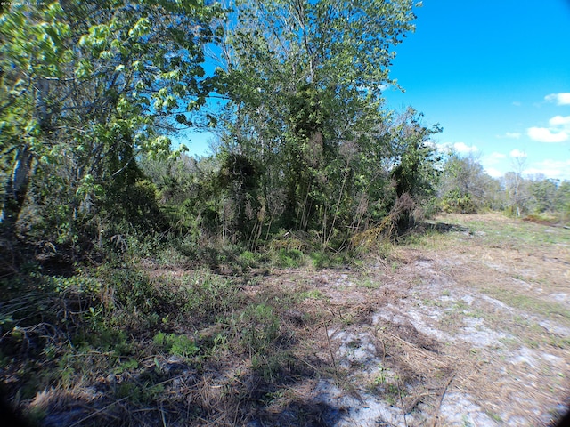 Listing photo 3 for 15683 NW 252nd St, Okeechobee FL 34972