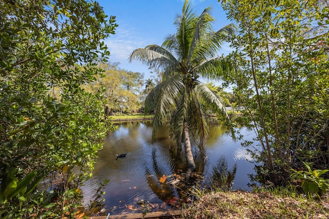 water view