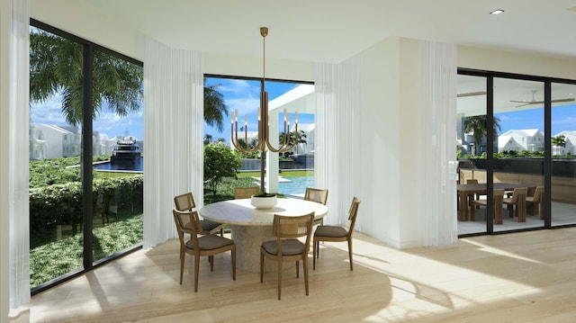 dining area featuring a wealth of natural light and wood finished floors