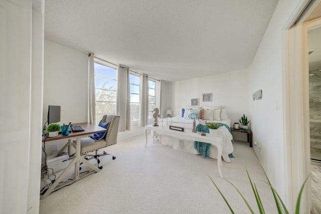 bedroom featuring light carpet