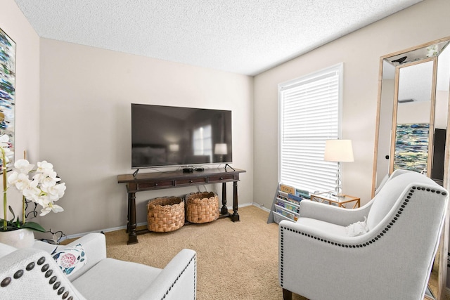 living room with carpet flooring and a textured ceiling