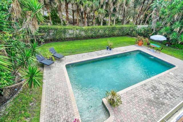 view of swimming pool featuring a yard