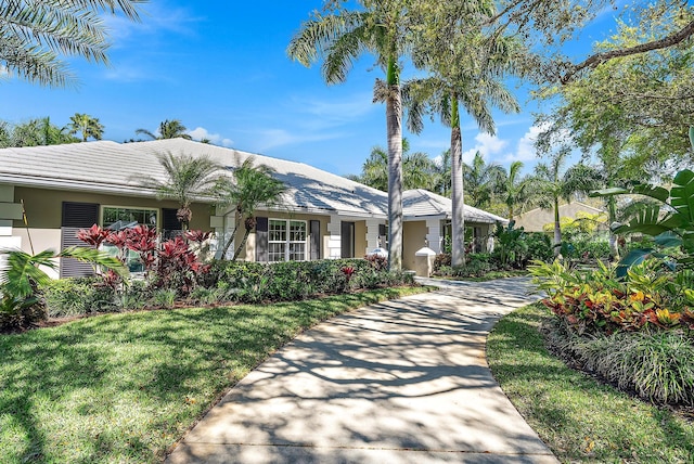 ranch-style home with driveway and a front lawn