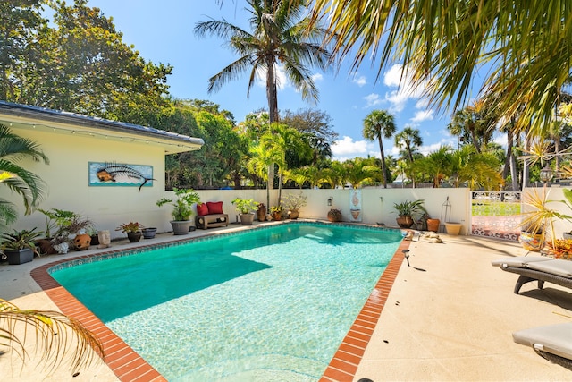 view of pool featuring a patio