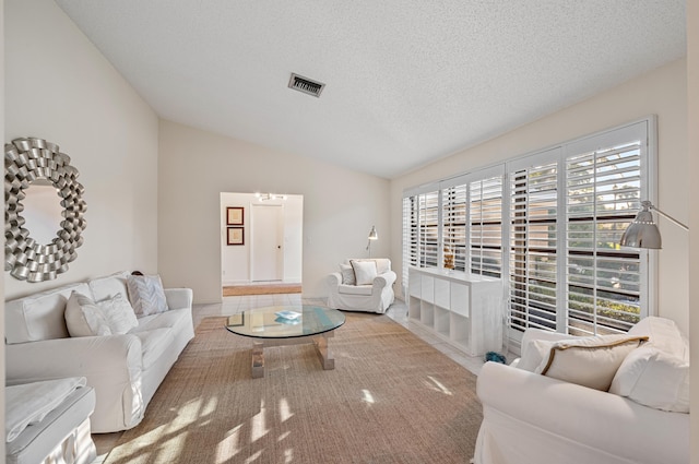 living room featuring lofted ceiling and a textured ceiling