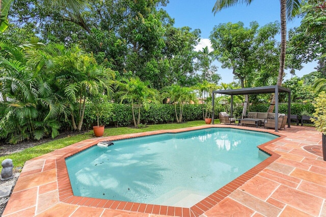 view of pool with an outdoor hangout area and a patio