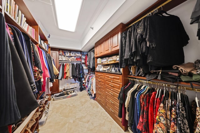 view of spacious closet