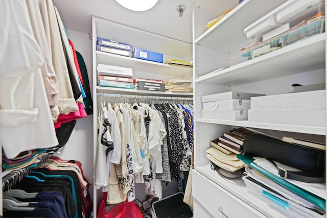 view of walk in closet