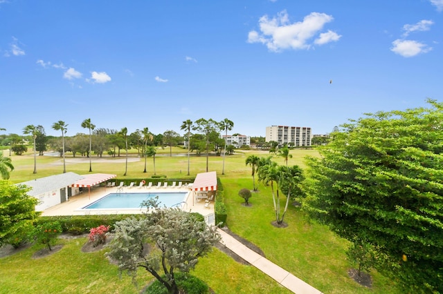 pool with a lawn