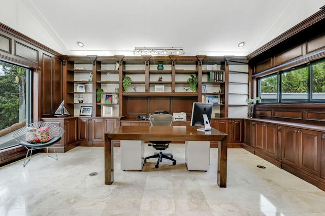 office featuring a wealth of natural light and vaulted ceiling