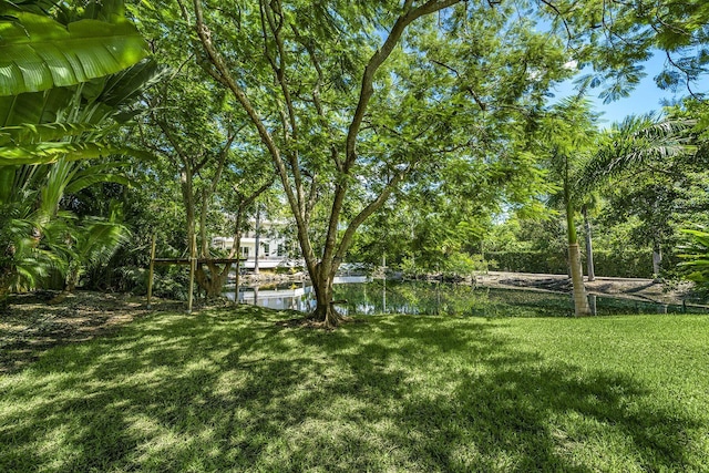 view of yard featuring a water view