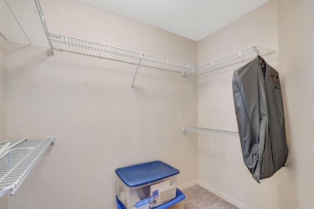 spacious closet with carpet