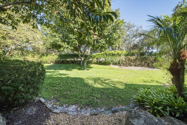 view of yard