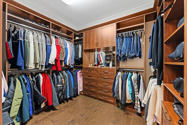 walk in closet featuring wood finished floors