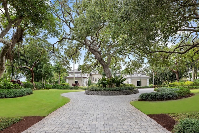 view of front facade featuring decorative driveway and a front yard