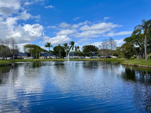 view of water feature