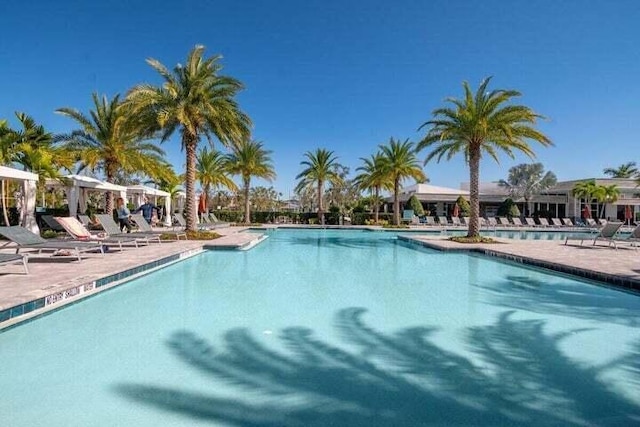 view of swimming pool with a patio area