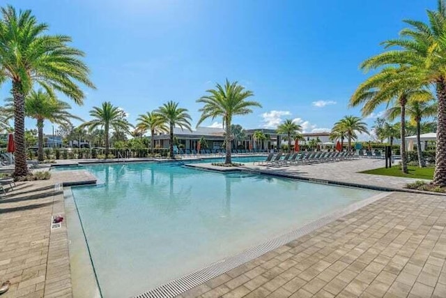 view of pool featuring a patio area