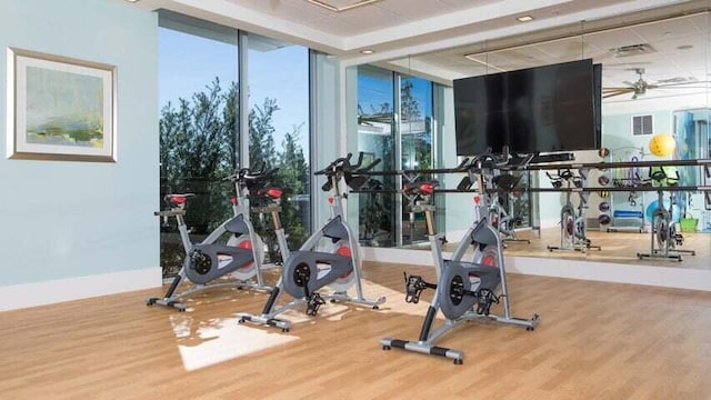 gym featuring wood-type flooring and a wall of windows