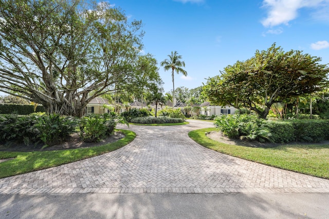 view of front facade featuring decorative driveway, a front yard, and a residential view