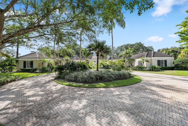 view of front of home with decorative driveway, a front yard, a tile roof, and stucco siding