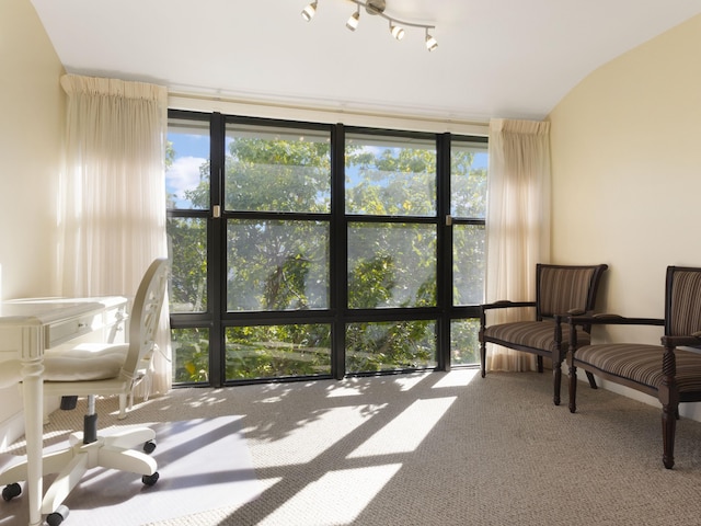 sunroom featuring plenty of natural light