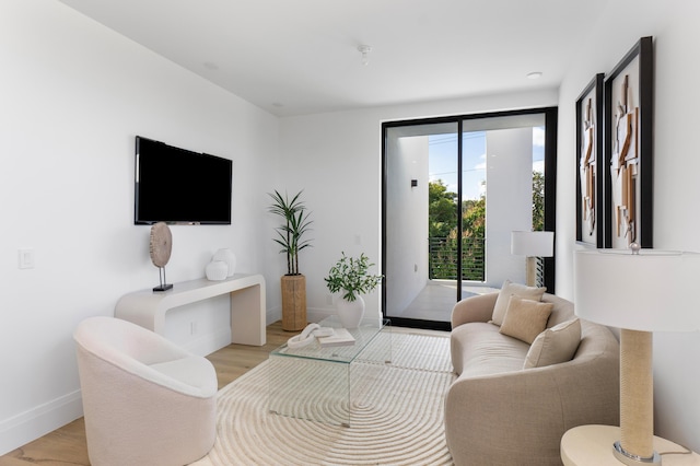 living room with light hardwood / wood-style floors