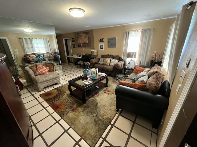 living room featuring a healthy amount of sunlight