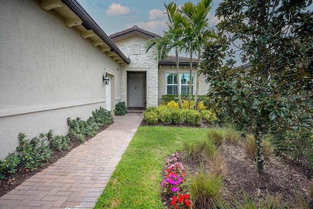 view of exterior entry featuring stone siding, a yard, and stucco siding