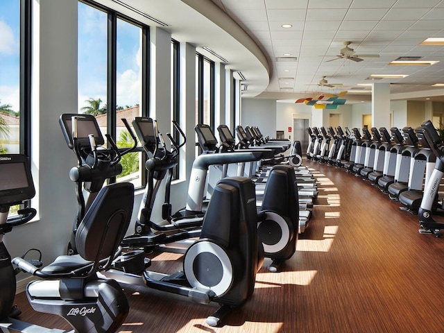 gym featuring a ceiling fan and a drop ceiling