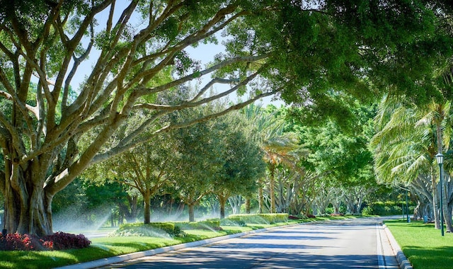 view of road with curbs