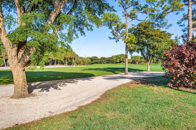 surrounding community featuring a yard