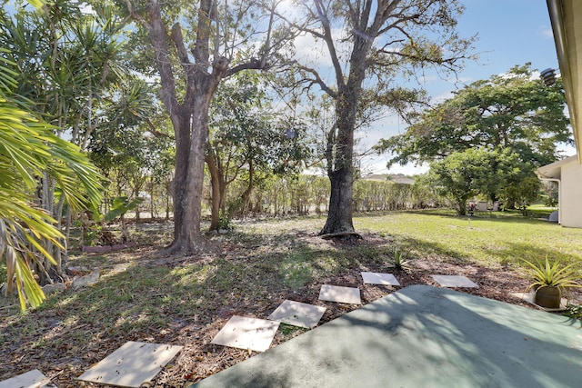 view of yard with a patio area