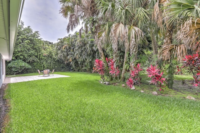 view of yard featuring a patio