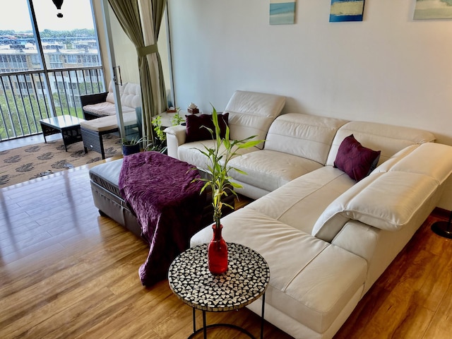 living room with light hardwood / wood-style flooring