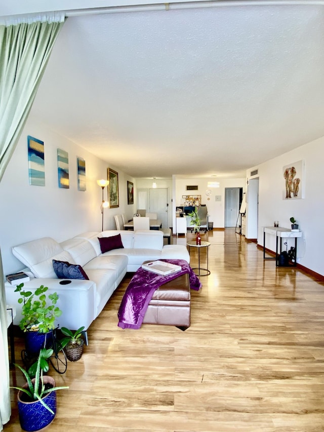 living room featuring light hardwood / wood-style flooring