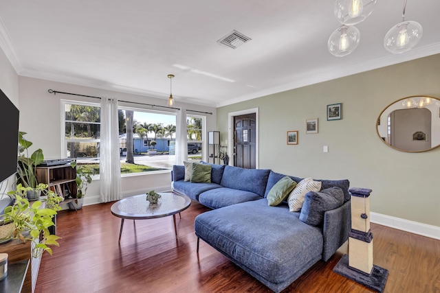 living room featuring dark hardwood / wood-style flooring and crown molding