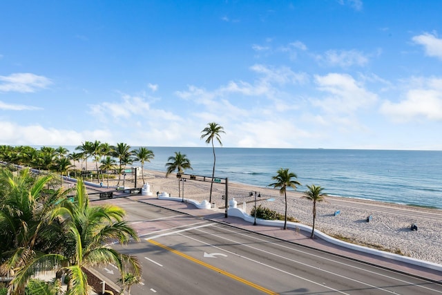 water view featuring a beach view