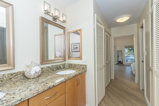 bathroom featuring wood finished floors, a closet, and vanity