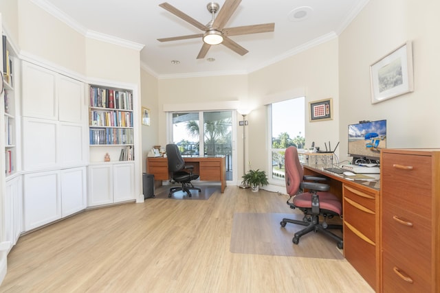 home office featuring light wood-type flooring, ceiling fan, and crown molding