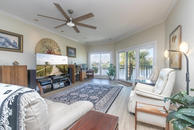 living area featuring ceiling fan, ornamental molding, and light wood-style floors