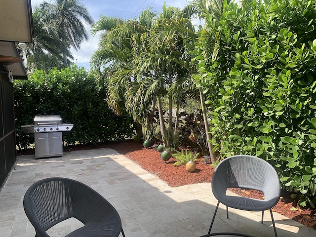 view of patio / terrace with area for grilling