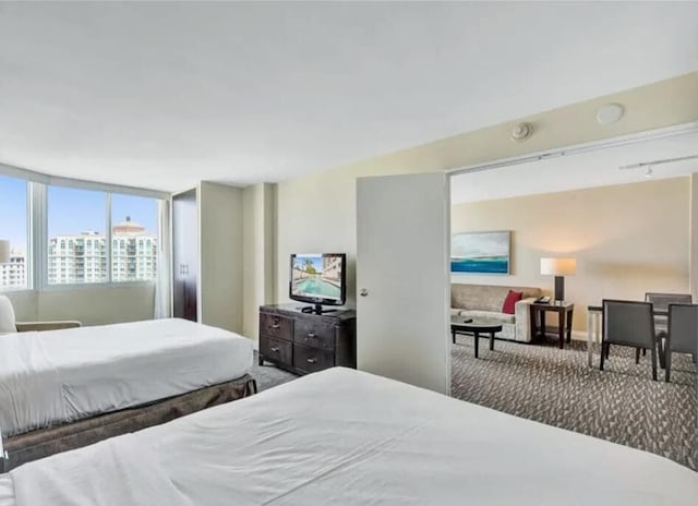 bedroom with rail lighting and carpet flooring