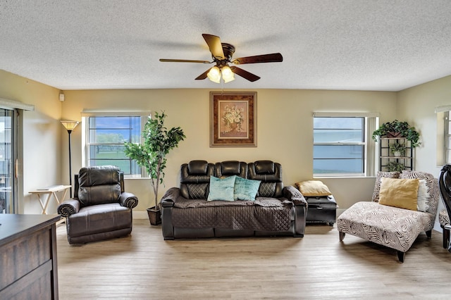 living room featuring ceiling fan, a textured ceiling, and light wood-type flooring