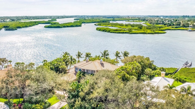 aerial view with a water view