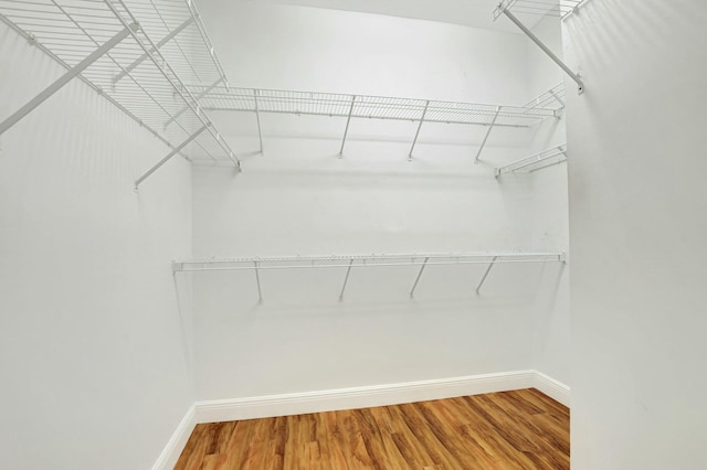 spacious closet featuring hardwood / wood-style floors