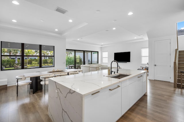 kitchen featuring sink, light stone counters, a center island with sink, a raised ceiling, and white cabinets