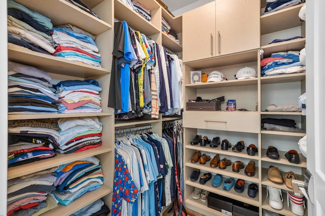 view of spacious closet